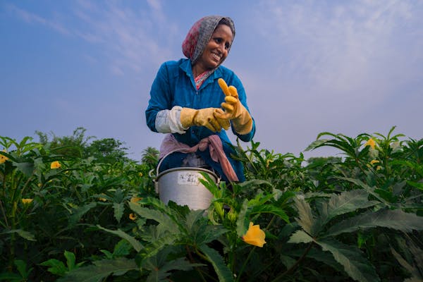 A Comprehensive Guide to Term Insurance for Women in India