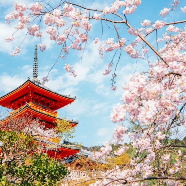 Make the Most of Japan in 2 Weeks: Your Perfect Itinerary