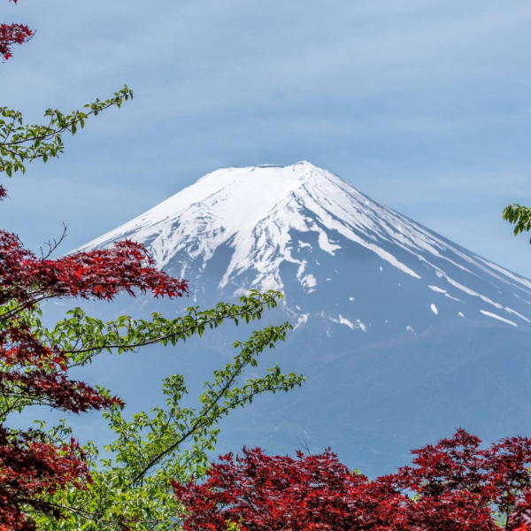 Japan Adventure: Customized Trip for the Solo Traveler (Cost as per customization)