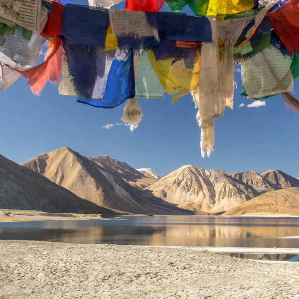 Ladakh Apricot Blossom Trail | long customised trip