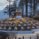 Thimphu to Punakha via Dochula Pass to Thimphu